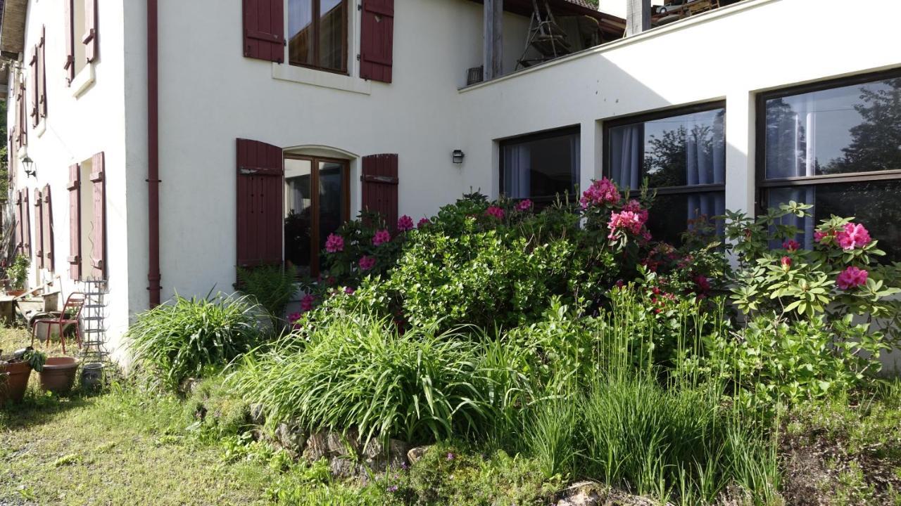 Bed and Breakfast Le Jolis Bois Raon-lʼÉtape Exterior foto